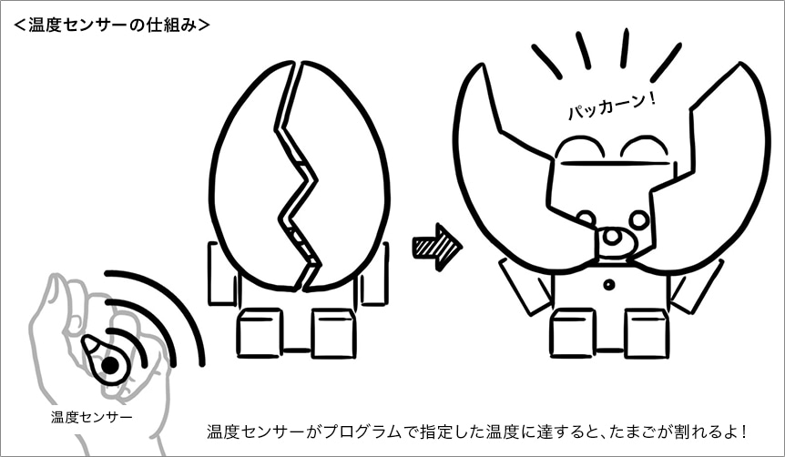 ＜温度センサーの仕組み＞温度センサーがプログラムで指定した温度に達すると、たまごが割れるよ！